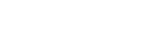 IE_Logo (footer)